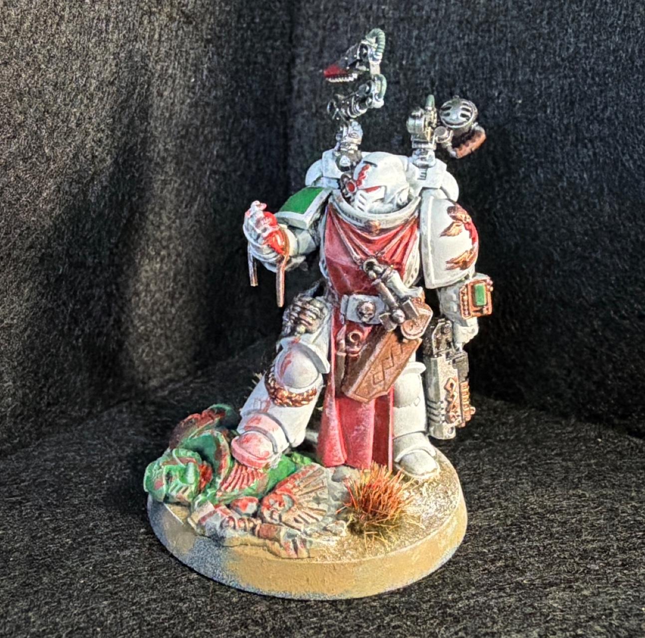 My Models